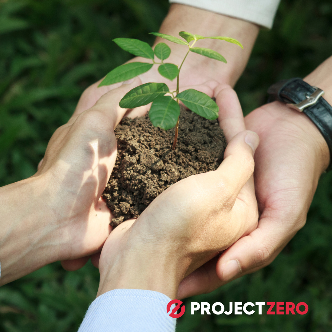 Dlaczego certyfikaty ESG są kluczem do zrównoważonego sukcesu – Przewodnik ProjectZero